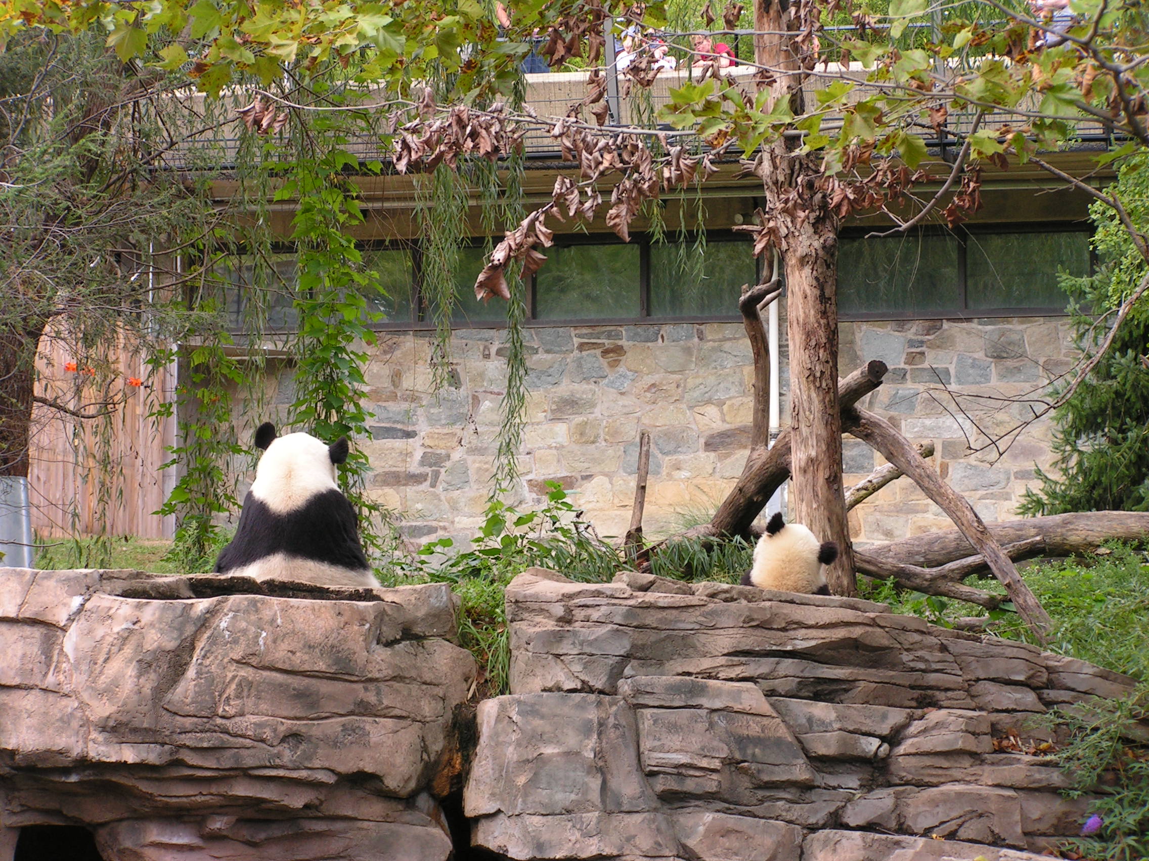 ./2006/National Zoo/TripBackPANatlZoo 0005.JPG